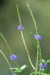 DSC01800