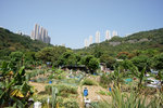 DSC01910