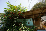 DSC01933