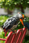 DSC01960