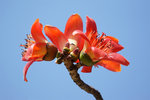 DSC01963