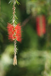 DSC02064