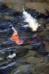 DSC02079