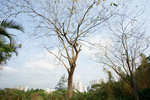 DSC02093
