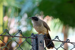 DSC02106