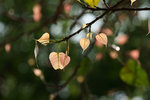 DSC02651