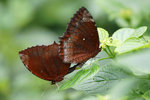 DSC02656