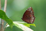 DSC02666