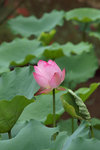 DSC02931