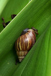 DSC02956