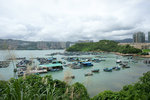 DSC03135