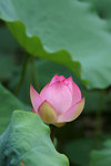 DSC03341