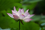 DSC03358