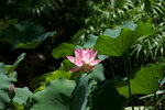 DSC03389
