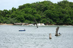 DSC03485
