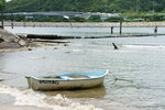 DSC03558