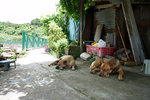 DSC03580
