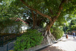 DSC00013