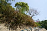DSC00014