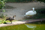DSC00026