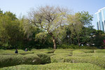 DSC00033