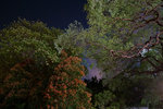 DSC00062