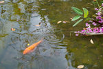 DSC00080
