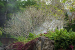 DSC00092