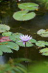 DSC00101