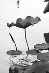 DSC00119