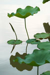 DSC00120