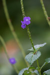 DSC00125