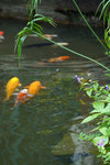 DSC00515