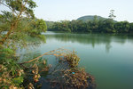 DSC08033