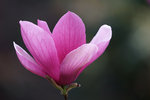 DSC09008