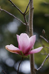 DSC09018