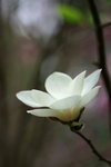 DSC09027