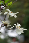 DSC09028