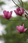 DSC09039