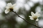 DSC09045
