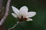 DSC09048
