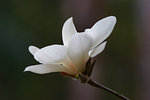 DSC09050