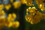 DSC09209