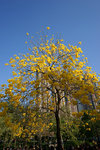 DSC09252
