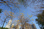 DSC09260