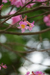 DSC09300