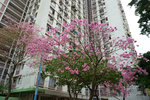DSC09306