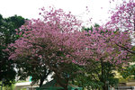 DSC09308