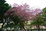DSC09309