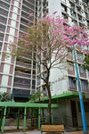 DSC09310